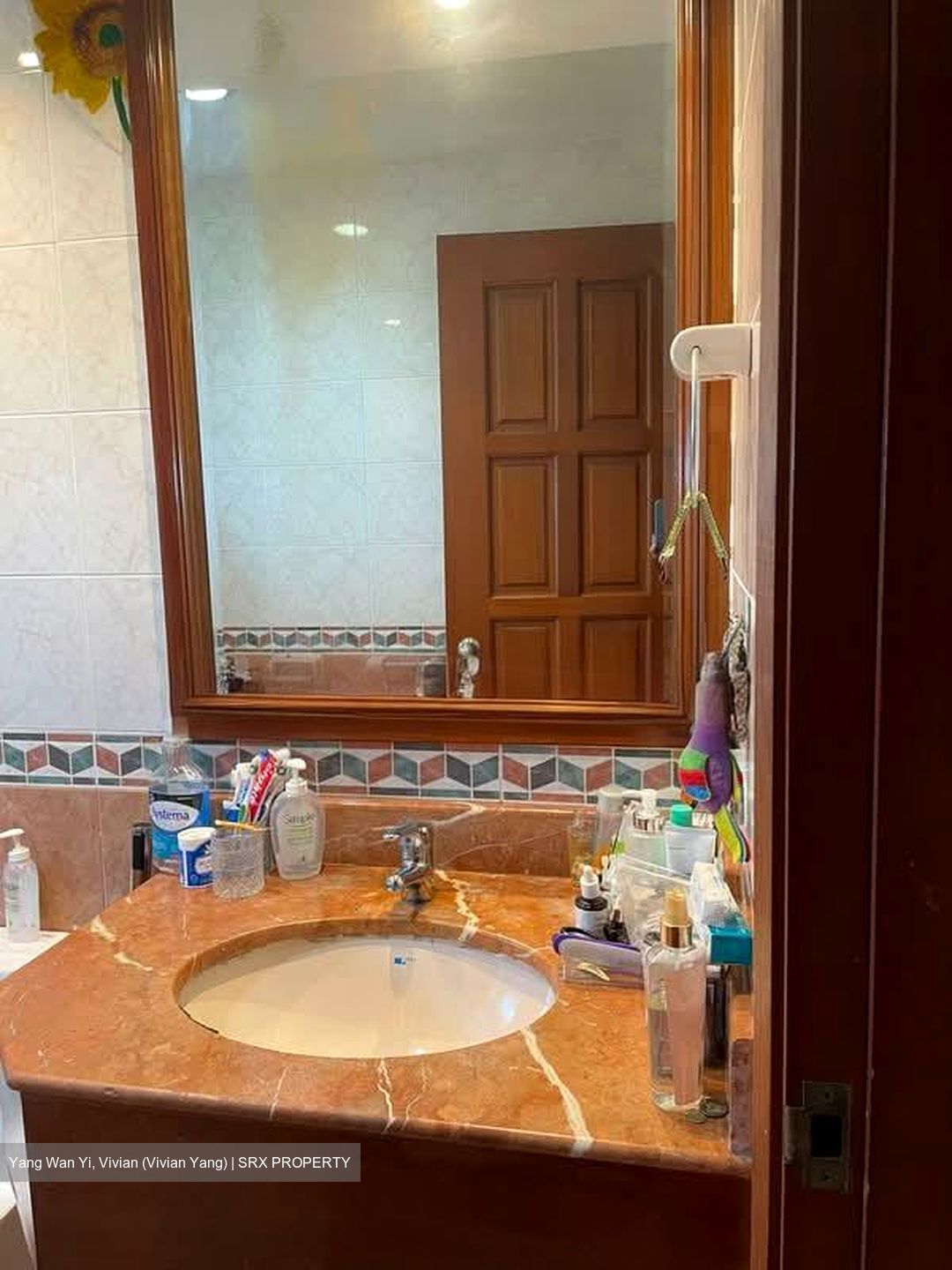Simsville (D14), Condominium #551193121